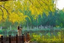 78国产麻豆视频-以78国产麻豆视频窥探网络文化与消费趋势的变迁，时代新语录的深度解析