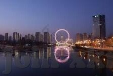 成人的免费视频-成人内容与网络伦理的边界探讨