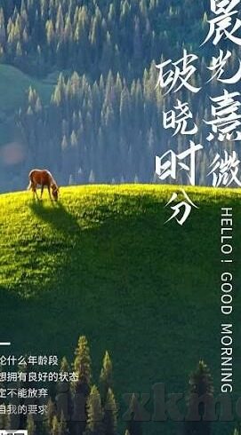 果冻传媒免费观看地址-果冻传媒，解锁免费观影新体验