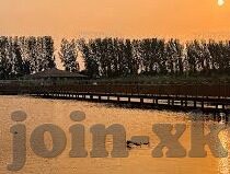 家里伦理小说全文阅读-家庭伦理的细腻织锦，家的温馨与纠葛