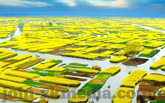 久久91久久久久麻豆精品-深度揭秘，久久91久久久久麻豆精品背后的文化与时代变迁