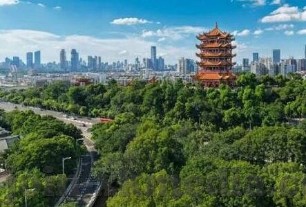 久久精品国产亚洲av麻豆-国产影视新视角，一一揭秘久久精品国产亚洲av麻豆背后的艺术与市场
