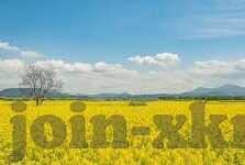 麻豆经济直播APP下载-探索麻豆经济直播APP，数字时代的消费新体验与社交新平台