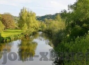 糖心vlog视频观看-全览糖心的Vlog，用镜头记录生活的甜蜜与瞬间