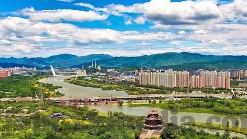 向日葵成人短视频app-探索向日葵成人短视频app，数字时代的视觉盛宴与文化反思